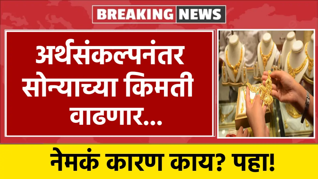 gold rate increase after budget