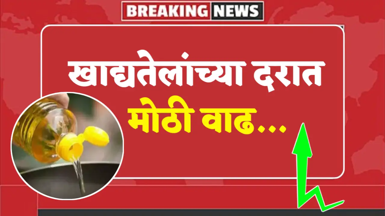 edible oil rate increase today