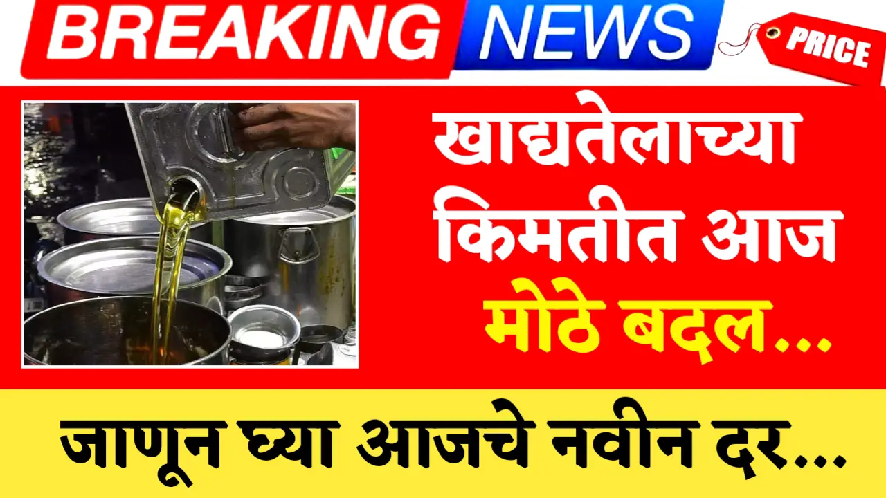 edible oil new update rate