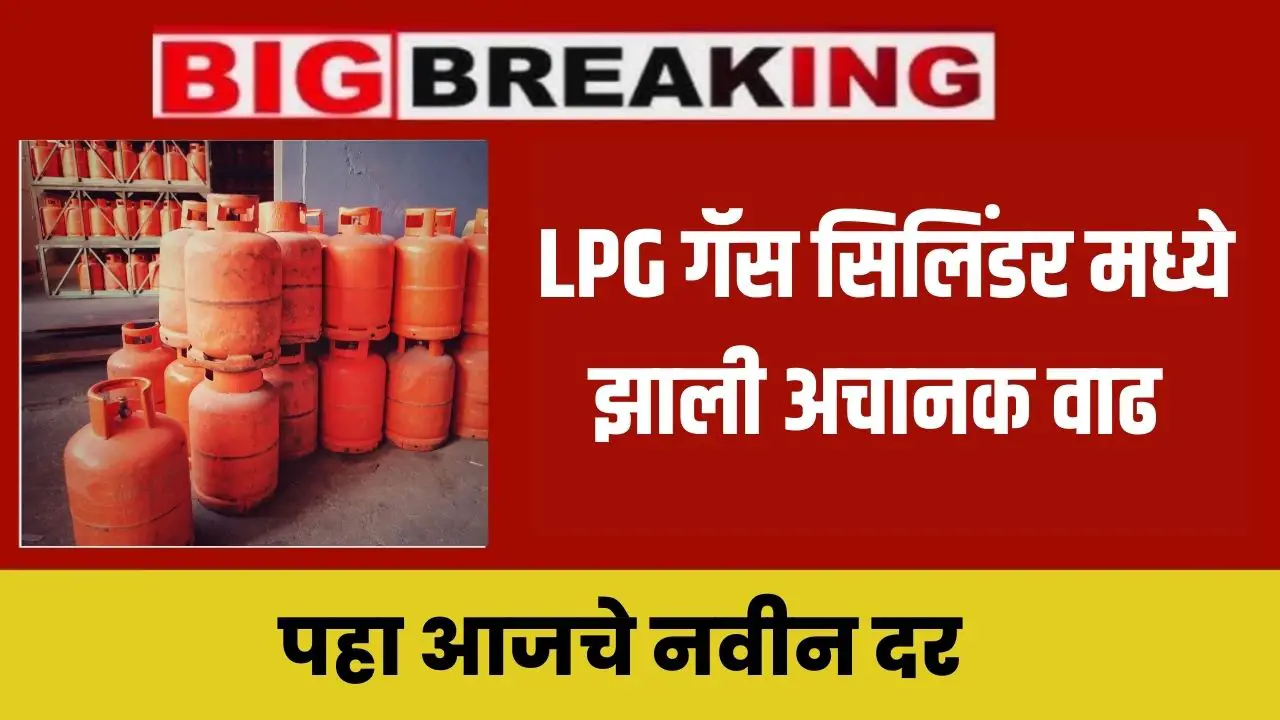 lpg gas cylinder now