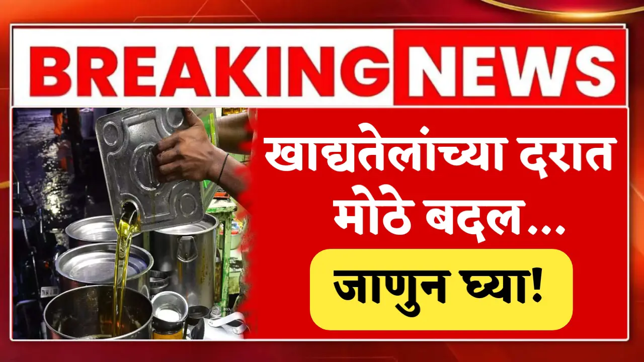 all edible oil rate today