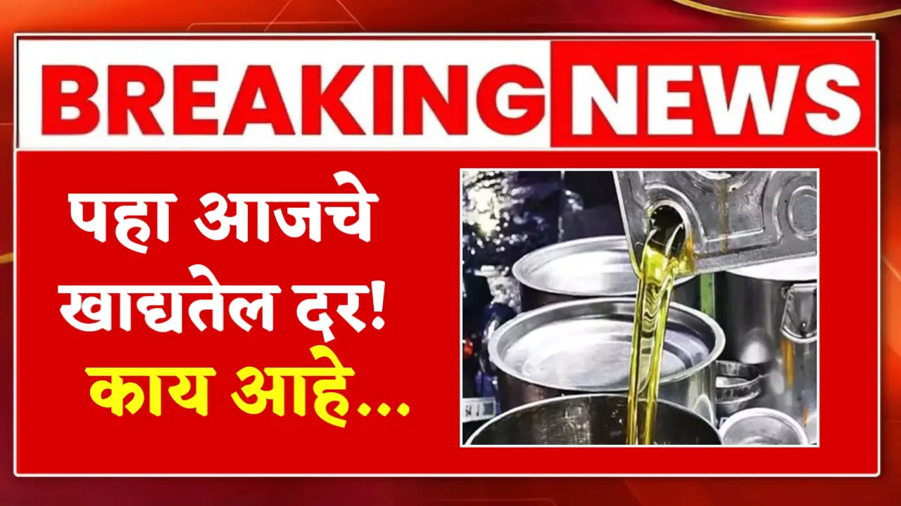 edible oil rate today 28 april