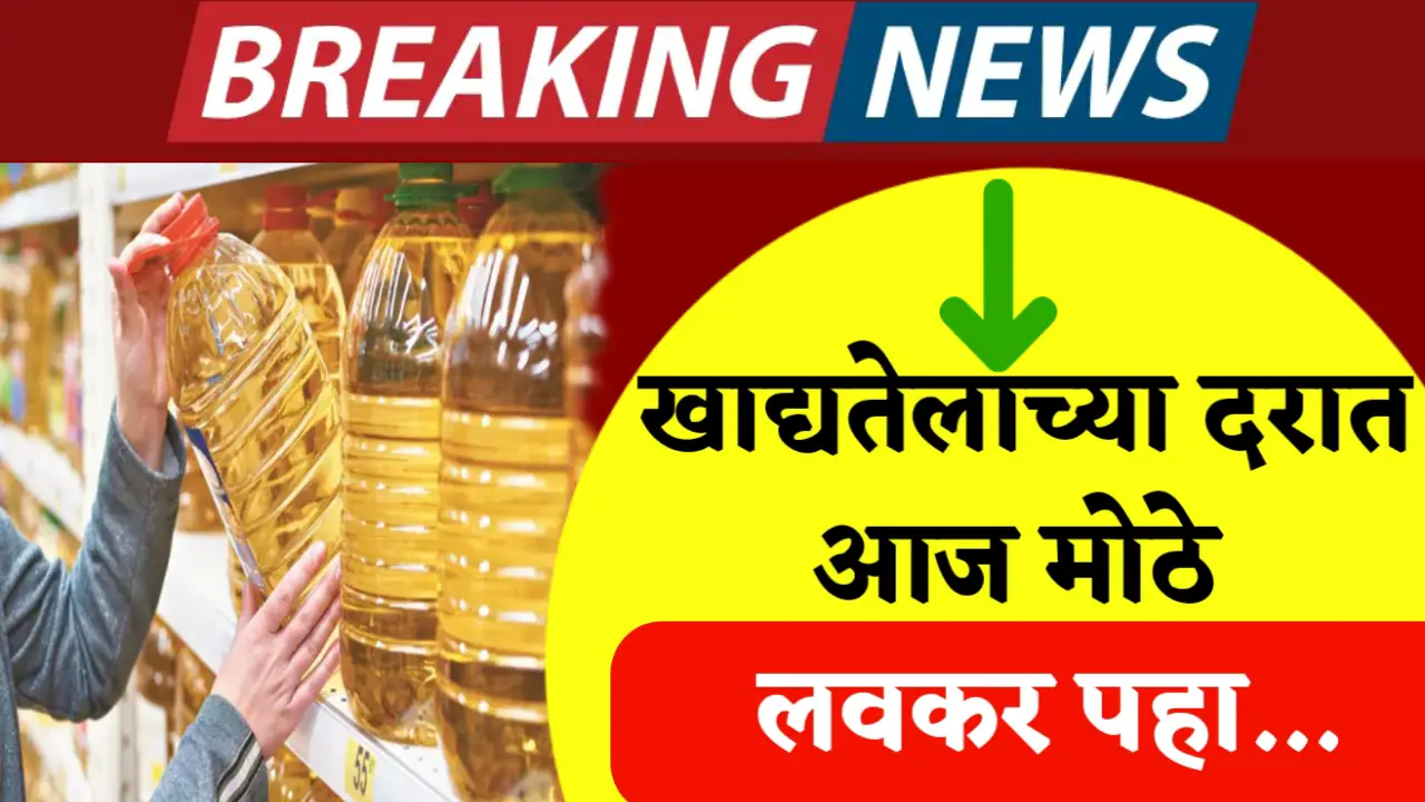 edible oil rate 1st may